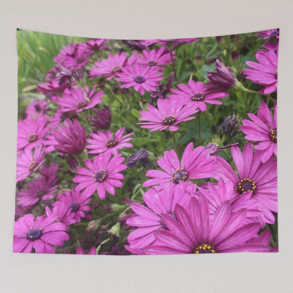 Item preview, Daisies Spring In All Their Splendor designed and sold by taiche.