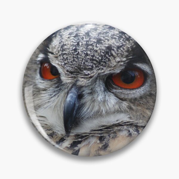 Item preview, Eagle owl designed and sold by DomenicBlair77.