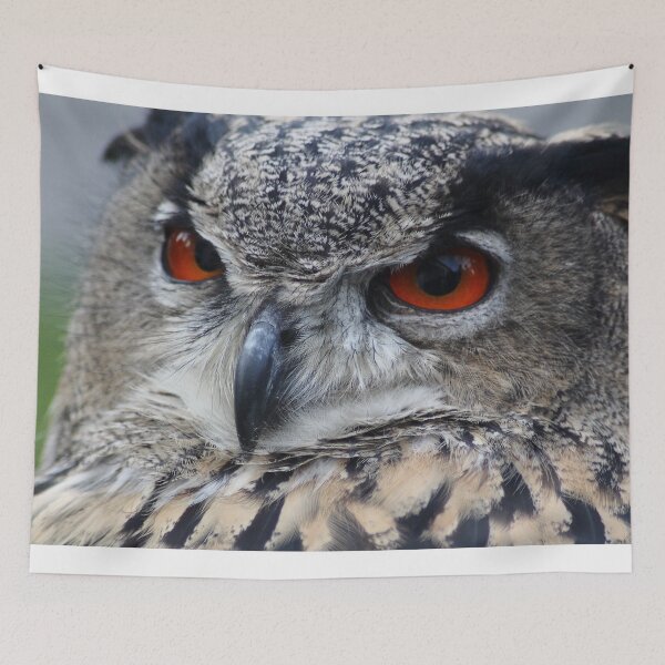 Item preview, Eagle owl designed and sold by DomenicBlair77.