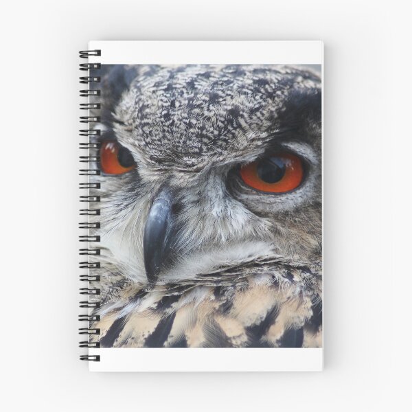 Item preview, Eagle owl designed and sold by DomenicBlair77.