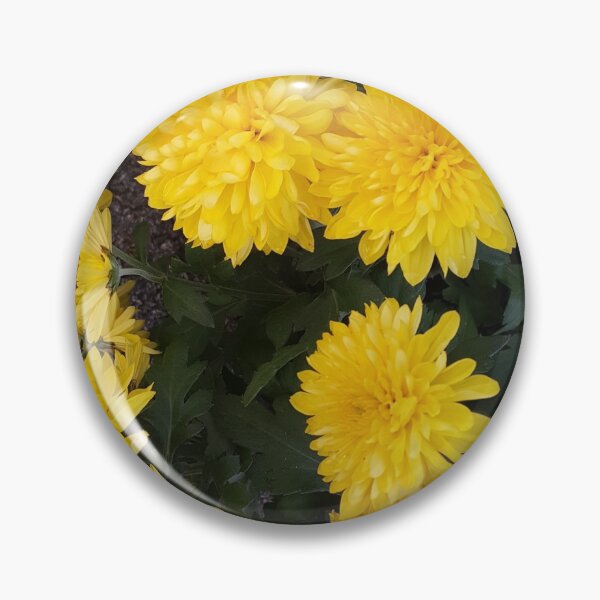 Aperçu de l'œuvre Exposition de fleurs jaunes à Pula créée et vendue par mandelcreation.