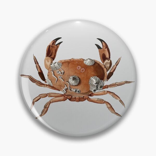 Item preview, Beauty of sea designed and sold by ekaterina-zago.