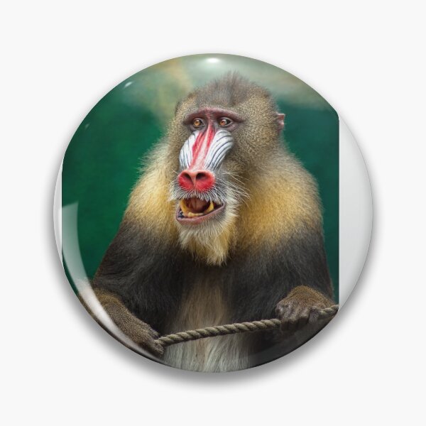 Item preview, MANDRILL - BABOON designed and sold by CUTESTUFFnow.