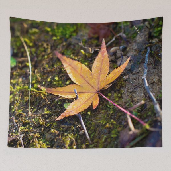 Item preview, Photography - Lonely leaf designed and sold by Karolien Kenis.