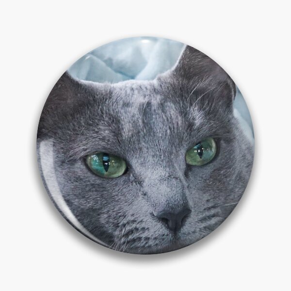 Artikelvorschau, Fräulein Russian Blue. entworfen und verkauft von FlyingTreg.
