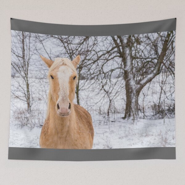 Item preview, Blonde Horse Hair Part designed and sold by mljdwhite.