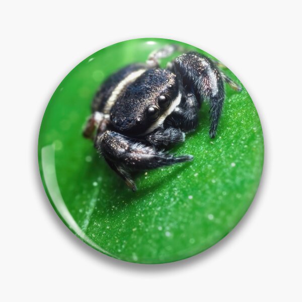 Item preview, Tiny wasp mimic spider on a green leaf designed and sold by hendrikspix.