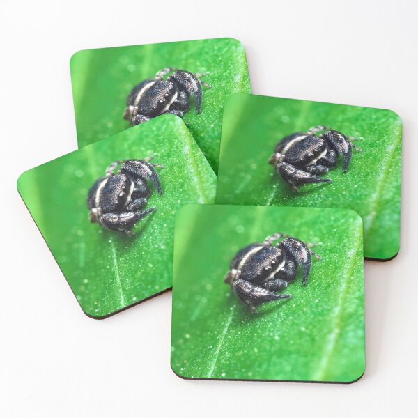 Item preview, Tiny wasp mimic spider on a green leaf designed and sold by hendrikspix.