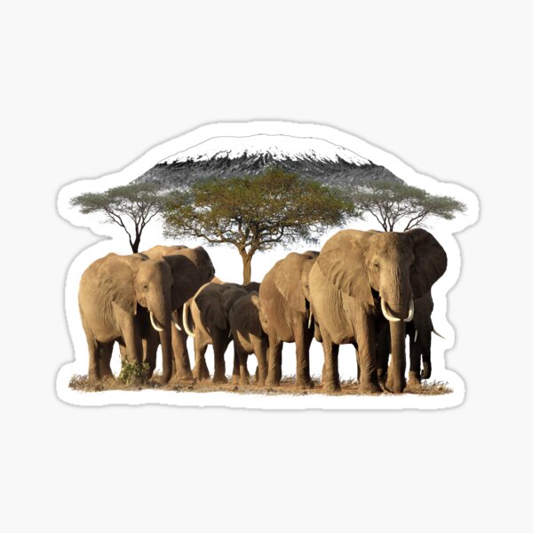 Vista previa del artículo con la obra «Kilimanjaro con elefantes de safari en Kenia / África», diseñado y vendido por TShirtsundMehr.