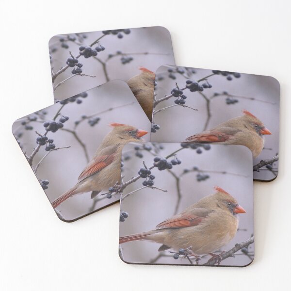 Item preview, Female Northern Cardinal designed and sold by cherylorraine.
