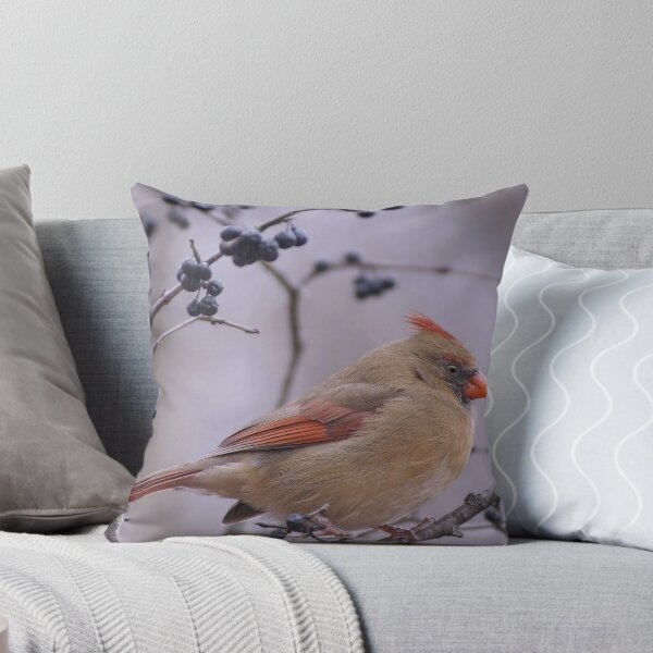 Item preview, Female Northern Cardinal designed and sold by cherylorraine.