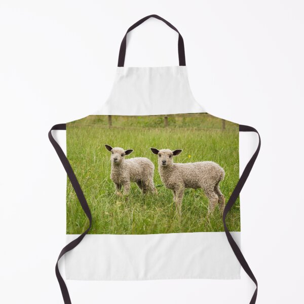 Item preview, Two of a Kind, Wensleydale Sheep designed and sold by Jane Stanley Photography.