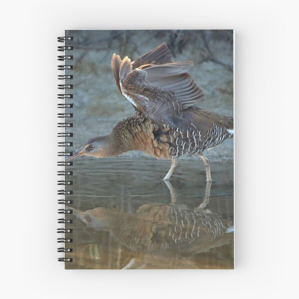 Item preview, Clapper Rail designed and sold by SuddenJim.