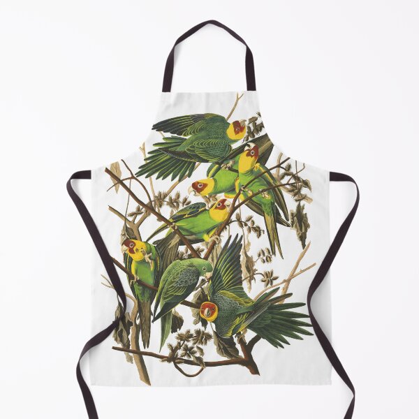 Item preview, Carolina Parakeet - John James Audubon  designed and sold by billythekidtees.
