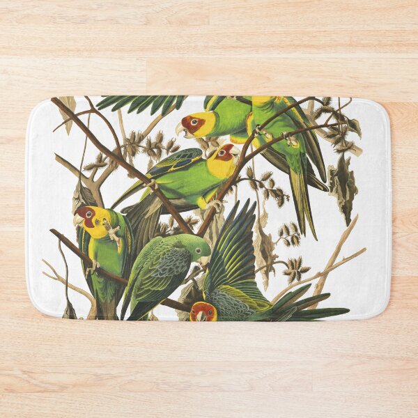 Item preview, Carolina Parakeet - John James Audubon  designed and sold by billythekidtees.