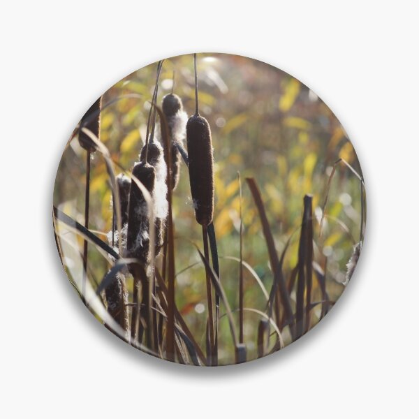 Item preview, Lovely Common Bulrush plants (Typha latifolia)  designed and sold by Imladris01.