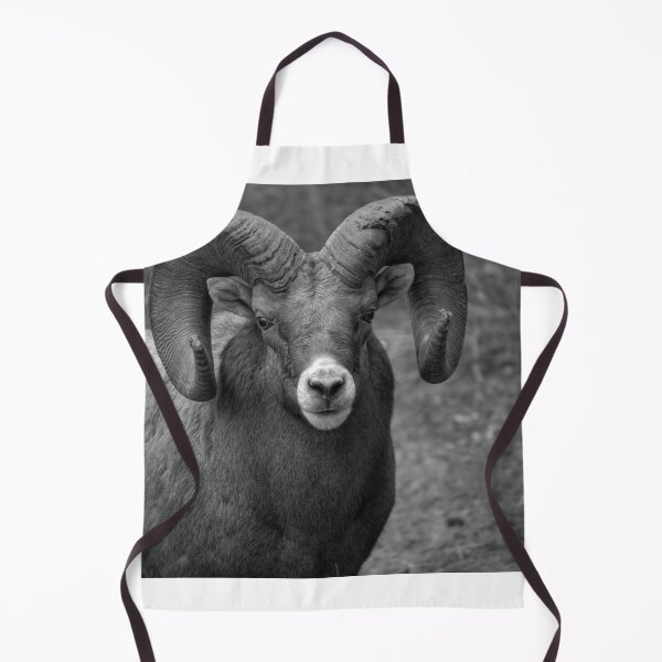 Item preview, Ram Close in grey designed and sold by James (820Photography) Anderson.