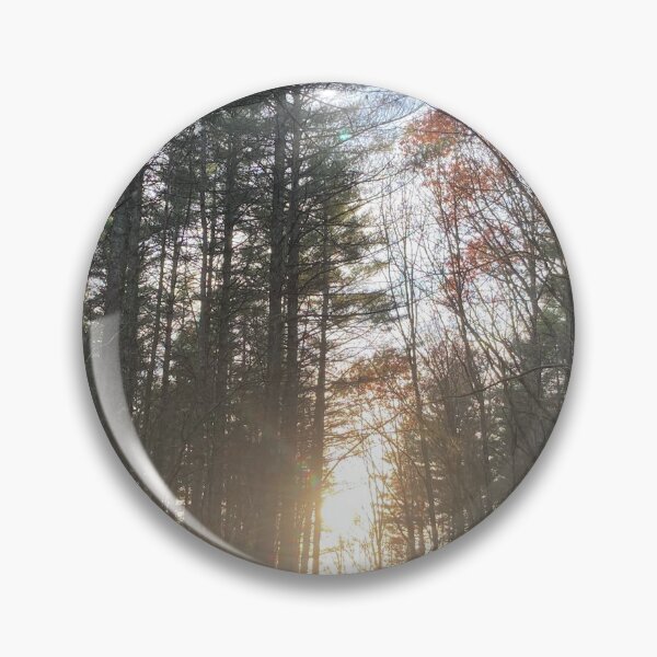 Item preview, Sunsetting in the woods designed and sold by Taleta Hollis.