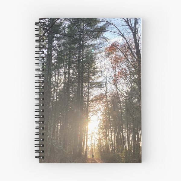 Item preview, Sunsetting in the woods designed and sold by Taleta Hollis.
