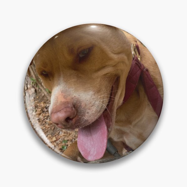 Item preview, Rosco looking out the bridge on upper trail designed and sold by Taleta Hollis.
