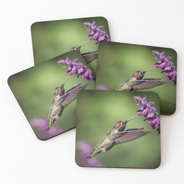 Item preview, Hummingbird, Bloom and Little Bug Pretty Spring Photography designed and sold by Stephanie Laird.