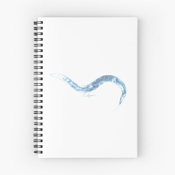 Item preview, C. elegans (Model Organism Series) designed and sold by d'Rebar.