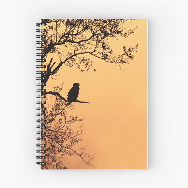 Item preview, Fin de los días ... designed and sold by Christopher Osmond.