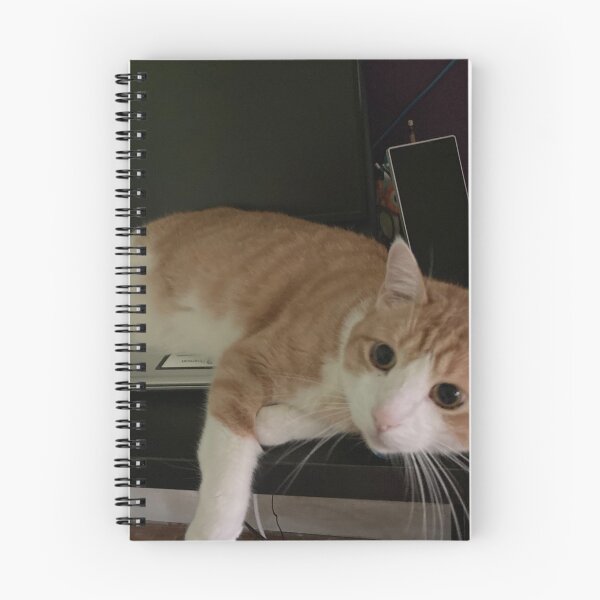 Item preview, Work from home buddy, Garfield really loves the laptop designed and sold by Taleta Hollis.