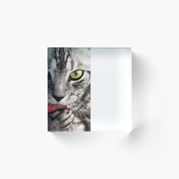 Artikelvorschau, Berühmte Katze entworfen und verkauft von LivEasy.
