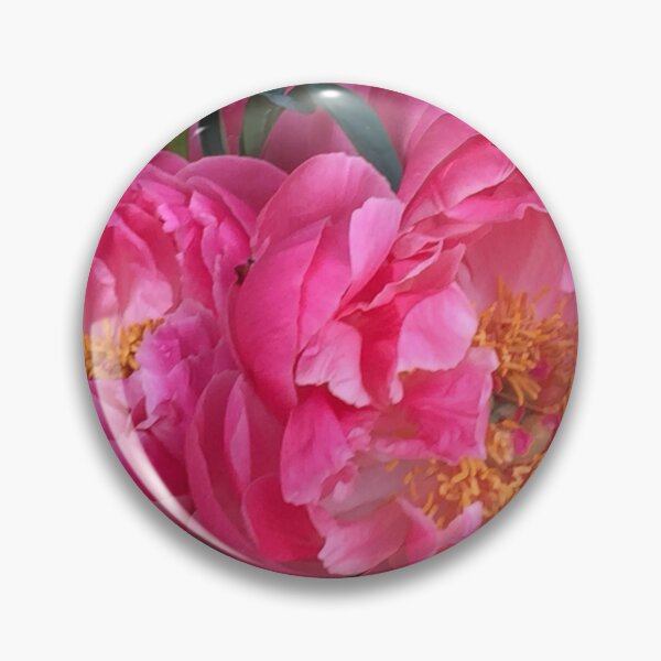Artikelvorschau, Rosa Pfingstrosen entworfen und verkauft von Christine  Wilson Photos.