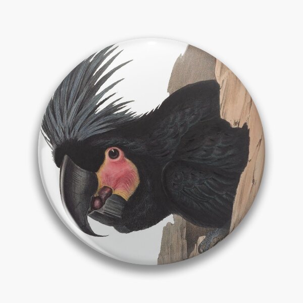 Item preview, Black Palm cockatoo designed and sold by billythekidtees.