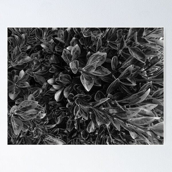 Item preview, Sumptuous Dark Leaves designed and sold by ChibiKolossus.