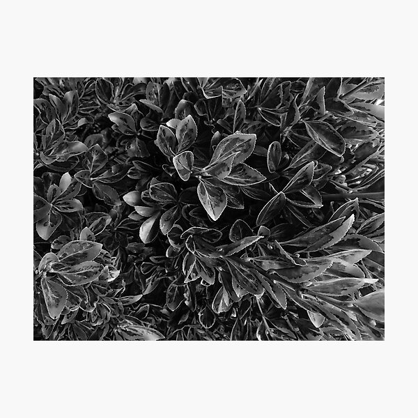 Item preview, Sumptuous Dark Leaves designed and sold by ChibiKolossus.