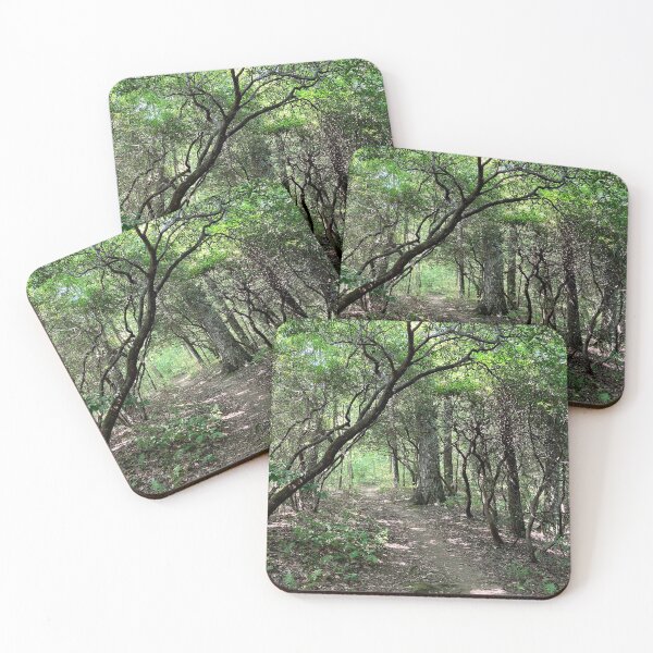Item preview, Nature hike through the mountains with cool trees designed and sold by Taleta Hollis.