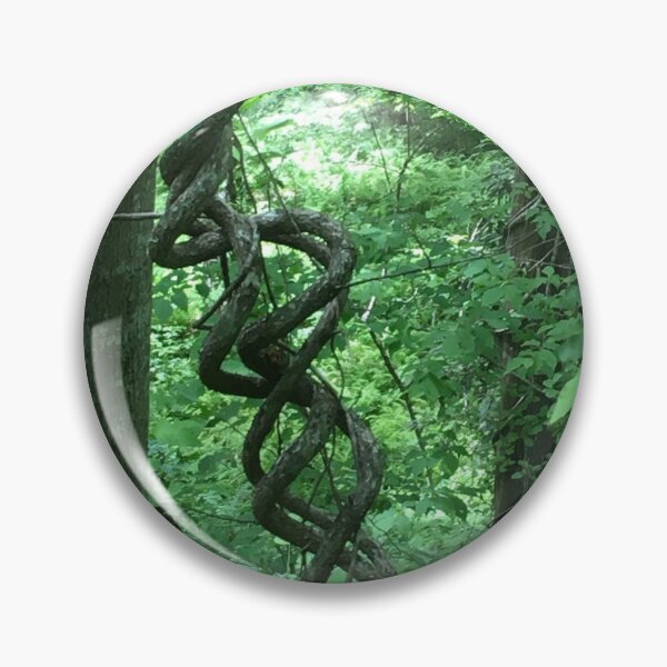 Item preview, Cool curly vines hanging down from the trees designed and sold by Taleta Hollis.