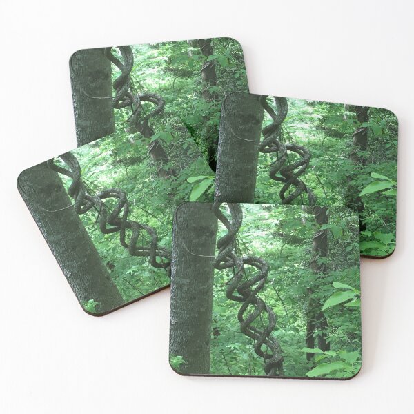 Item preview, Cool curly vines hanging down from the trees designed and sold by Taleta Hollis.