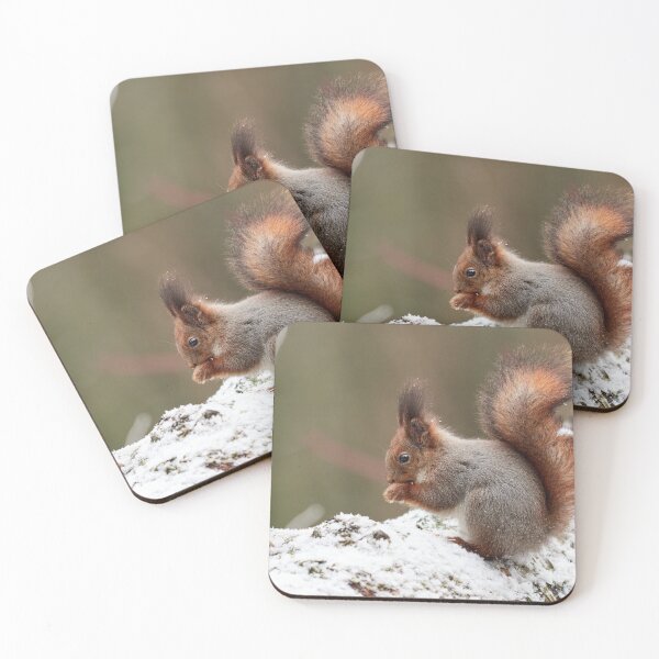 Item preview, Make Your prayes. Eurasian red squirrel designed and sold by Jouko Lehto Photography.