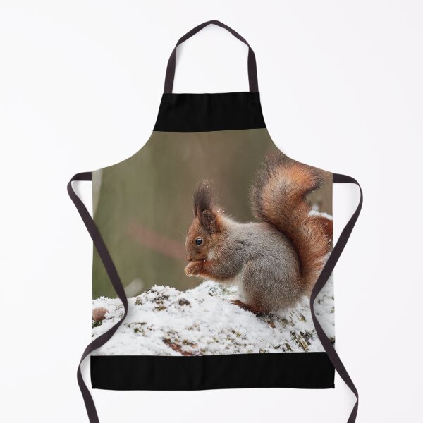 Item preview, Make Your prayes. Eurasian red squirrel designed and sold by Jouko Lehto Photography.