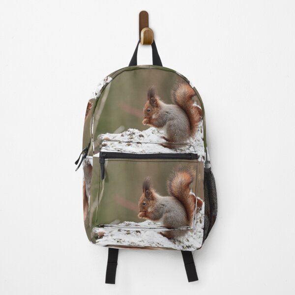 Item preview, Make Your prayes. Eurasian red squirrel designed and sold by Jouko Lehto Photography.