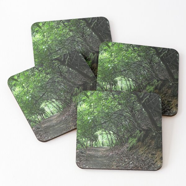 Item preview, Mystical feeling to this trail as the trees curve making a tunnel with the limbs designed and sold by Taleta Hollis.