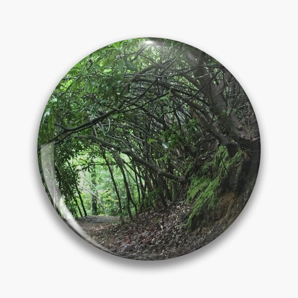 Item preview, Mystical feeling to this trail as the trees curve making a tunnel with the limbs designed and sold by Taleta Hollis.