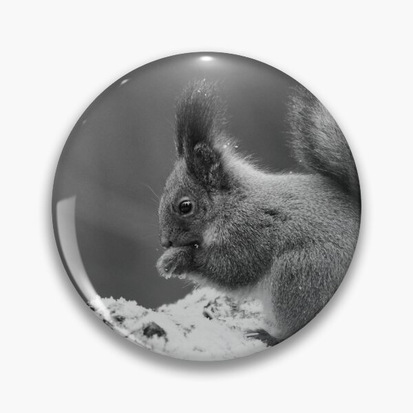 Artikelvorschau, Eurasisches Eichhörnchen, Finnland, Jouko Lehto, Kuva-Lehto, Kuvalehto, Lehtokukka-Fotografie, Sciurus vulgaris, Suomi, Vogel, Lintu, Oraava, Punaorava, Talvi, Winter entworfen und verkauft von Jouko Lehto Photography.