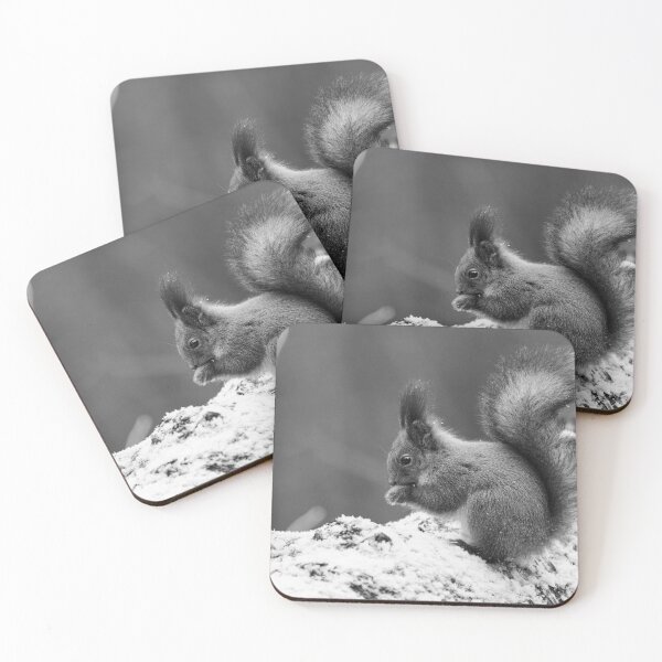Artikelvorschau, Eurasisches Eichhörnchen, Finnland, Jouko Lehto, Kuva-Lehto, Kuvalehto, Lehtokukka-Fotografie, Sciurus vulgaris, Suomi, Vogel, Lintu, Oraava, Punaorava, Talvi, Winter entworfen und verkauft von Jouko Lehto Photography.