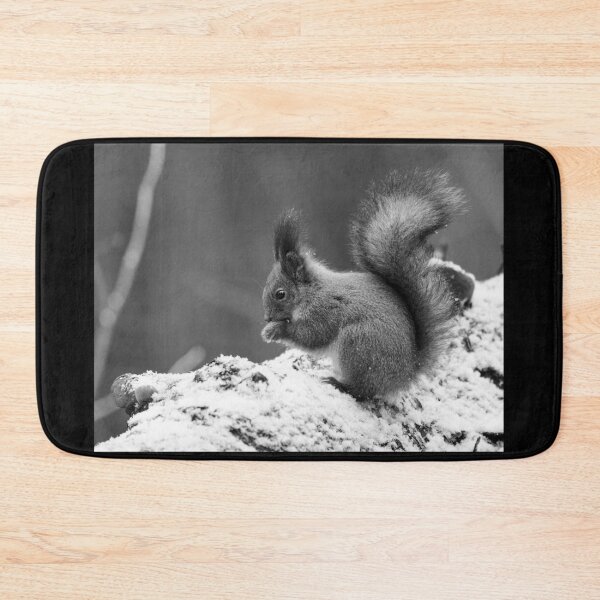 Item preview, Eurasian red squirrel, Finland, Jouko Lehto, Kuva-Lehto, Kuvalehto, Lehtokukka photography, Sciurus vulgaris, Suomi, bird, lintu, orava, punaorava, talvi, winter designed and sold by Jouko Lehto Photography.