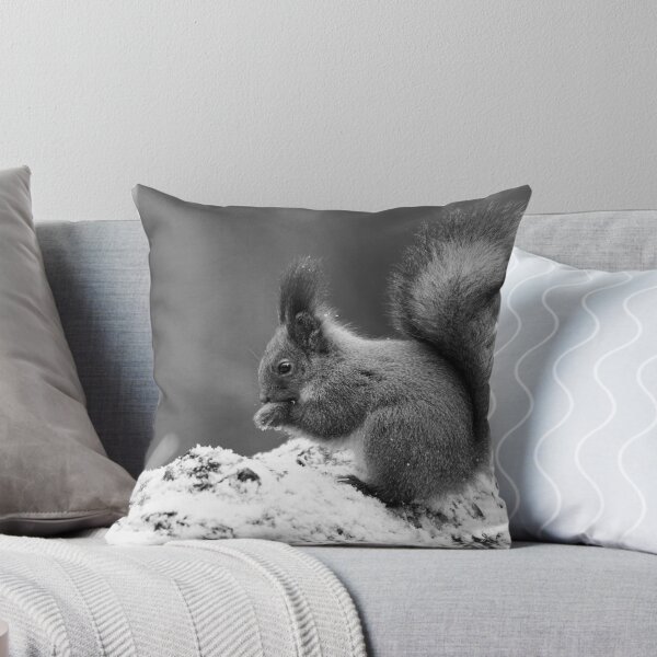 Artikelvorschau, Eurasisches Eichhörnchen, Finnland, Jouko Lehto, Kuva-Lehto, Kuvalehto, Lehtokukka-Fotografie, Sciurus vulgaris, Suomi, Vogel, Lintu, Oraava, Punaorava, Talvi, Winter entworfen und verkauft von Jouko Lehto Photography.