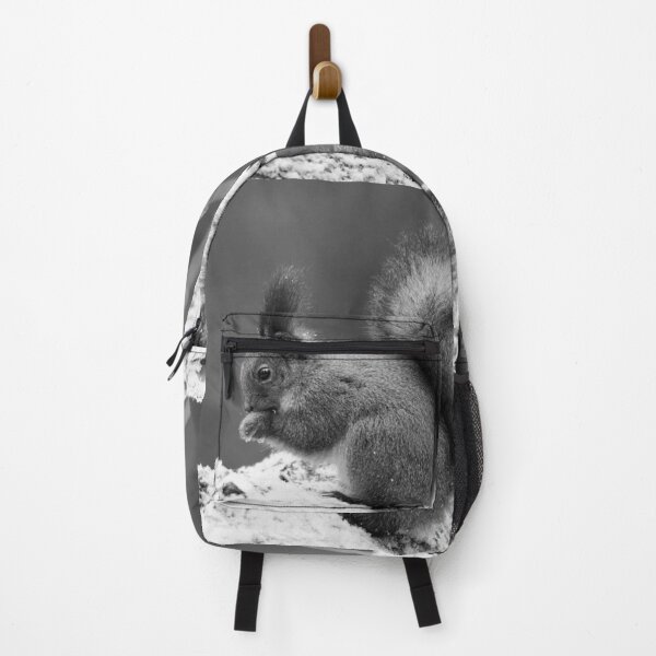 Item preview, Eurasian red squirrel, Finland, Jouko Lehto, Kuva-Lehto, Kuvalehto, Lehtokukka photography, Sciurus vulgaris, Suomi, bird, lintu, orava, punaorava, talvi, winter designed and sold by Jouko Lehto Photography.