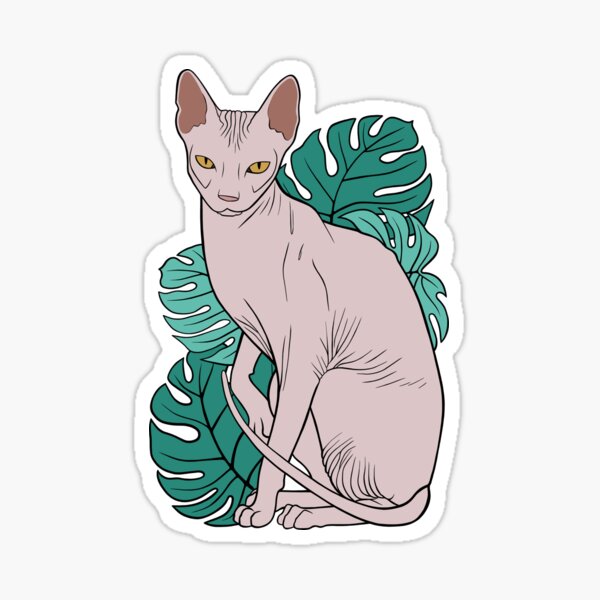 Sphynx Stickers Redbubble