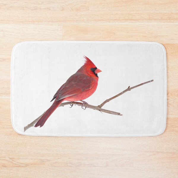 Item preview, Northern Cardinal designed and sold by James Cumming.