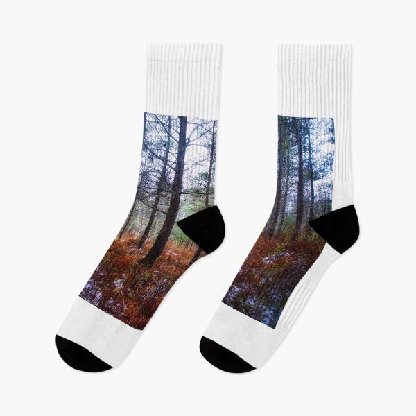 Item preview, December Walk in the Forest designed and sold by colorfulbundles.