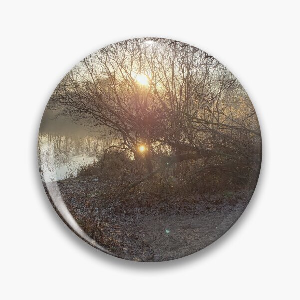 Item preview, Sunlight Through Branches and Mist designed and sold by RotondoArt.